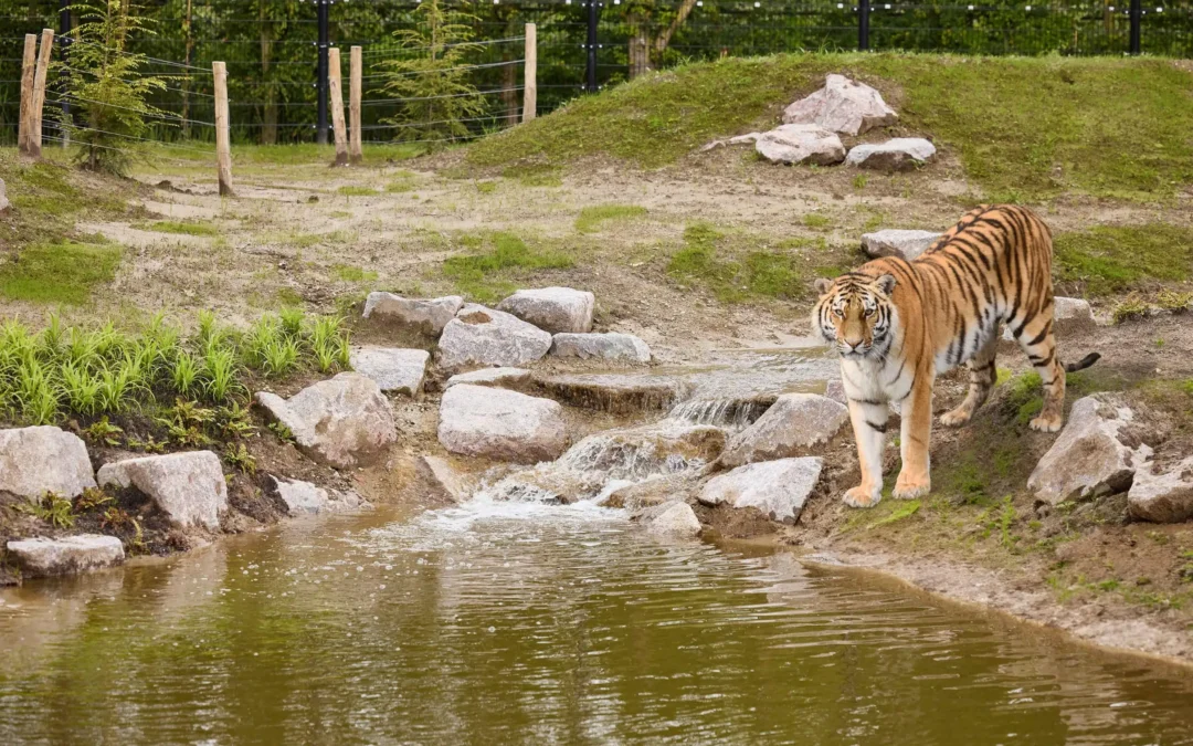 Eindhoven Zoo